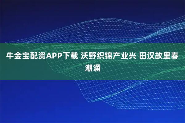 牛金宝配资APP下载 沃野织锦产业兴 田汉故里春潮涌
